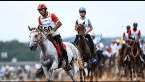 How Can I Train For An Endurance Riding Race?