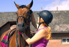 How Can Injuries Be Prevented In Eventing?