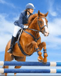 How Can I Train A Horse For A Steeplechase Race?