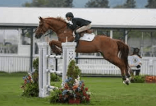 What Are The Main Types Of Show Jumping Courses?