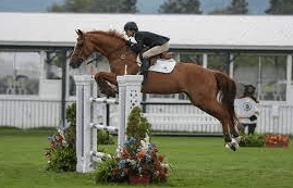 What Are The Main Types Of Show Jumping Courses?