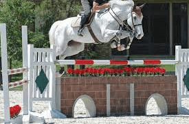 What Equipment Is Needed For Show Jumping?