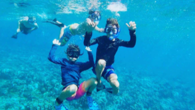 Snorkeling Tips and Tricks for Beginners