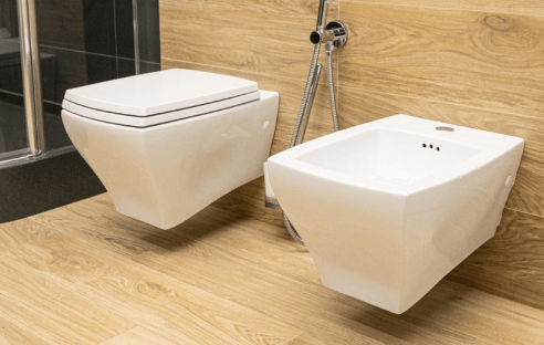 Bidet Toilet Seat