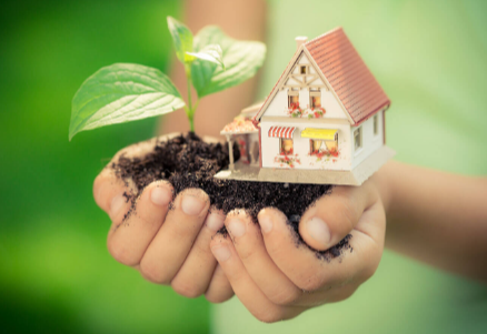 Eco-Friendly Apartment Living: Simple Steps to a Greener Lifestyle