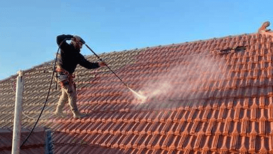 Professional Roof Cleaning