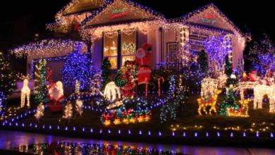 Christmas Light Installation