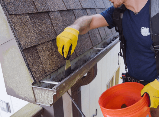 Gutter Cleaning Services