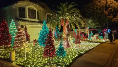 The Ultimate Guide to Christmas Light Installation by Valley Christmas Lights in Phoenix AZ and Nearby Areas