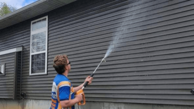 Roof Cleaning by Horizon Home Detailing in Baraboo WI