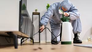 A Guide to Pest Control for New Homeowners