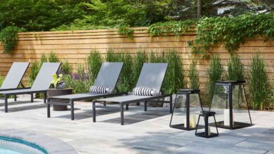 Crafting the Perfect Backyard: The Role of Fencing in Outdoor Design