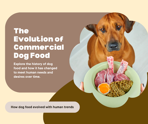 The Evolution of Dog Food: Exploring the World of Organic Dog Food