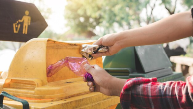 The Convenience of Hiring a Skip Bin for Large-Scale Clean-Ups