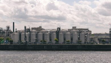 top energy stocks revealed