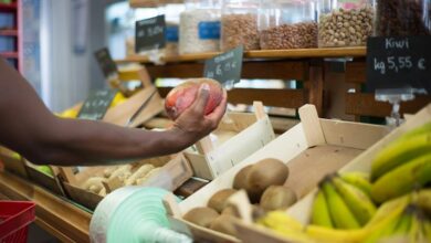 top stocks for gains