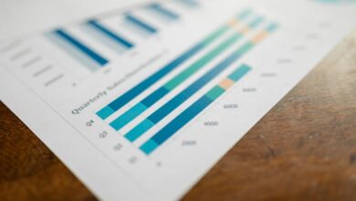 detailed numerical analysis overview