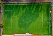 dtcoralbsel activities overview