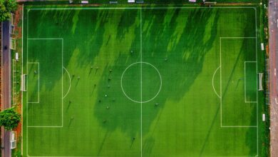 dtcoralbsel activities overview