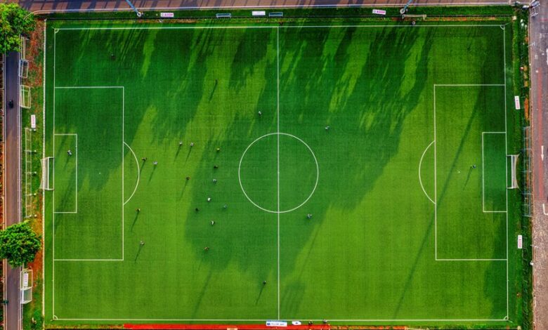 dtcoralbsel activities overview