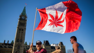 The Green Revolution of Dispensary Cannabis