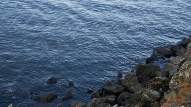 kierzugicoz2005 explained overview