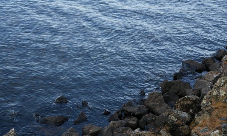 kierzugicoz2005 explained overview