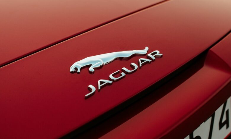 morzqux waterproof product details