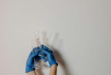 phone number analysis requested