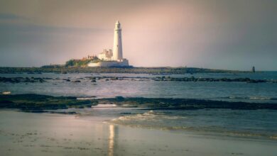 photoaconpan usage overview guide