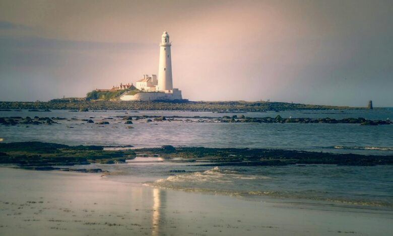 photoaconpan usage overview guide