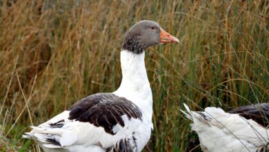 profile updates for vittenthill49