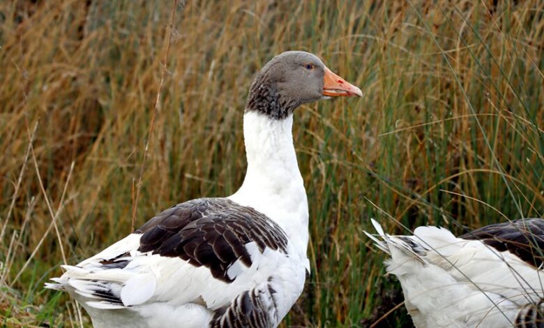 profile updates for vittenthill49