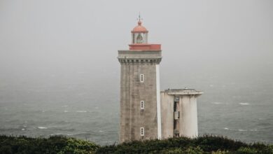 child safety online guide