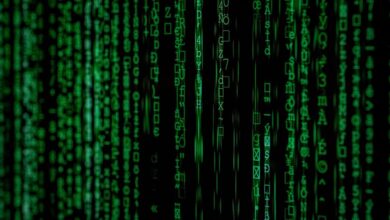 dataset identification and overview