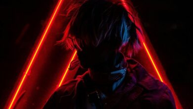 digital identity verification process