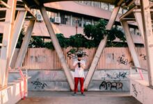 profile and activity summary