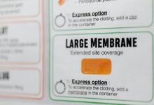 etydbruk comprehensive overview guide