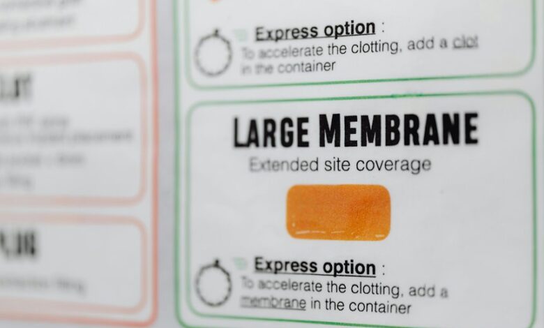 etydbruk comprehensive overview guide