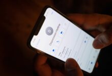 fraud call verification numbers