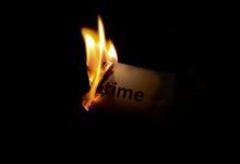 hokroh14210 unique characteristics highlighted