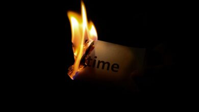 hokroh14210 unique characteristics highlighted