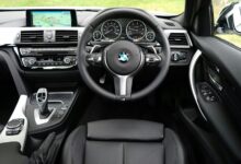 krylovalster s unique characteristics highlighted