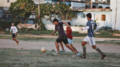 lerdalsporten comprehensive information guide