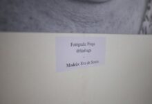 pimslapt2154 specific details