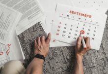 primiotranit 02 11 review summary