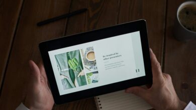 rozunonzahon insights and information