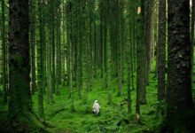 unique characteristics of voulosciszek hughesgor