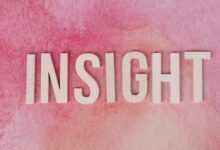 xevotellos model brand design