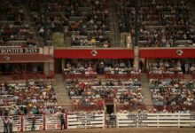 digital fusion technology advancement